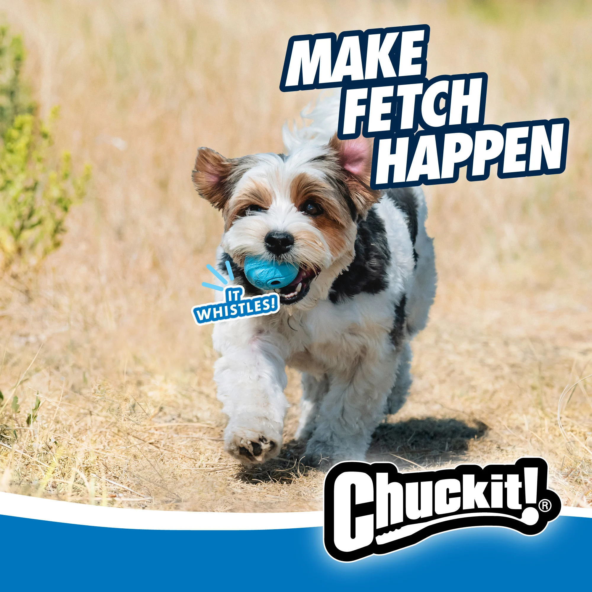 Minge pentru câini cu sunet de fluierat M, ø 6 cm, 2 bucăți – Chuckit! The Whistler - imagine 5