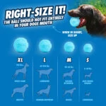 Minge pentru câini din cauciuc reciclat, cu săritură elastică, 2 bucăți – Chuckit! Rebounce Fetch Ball M - imagine 6