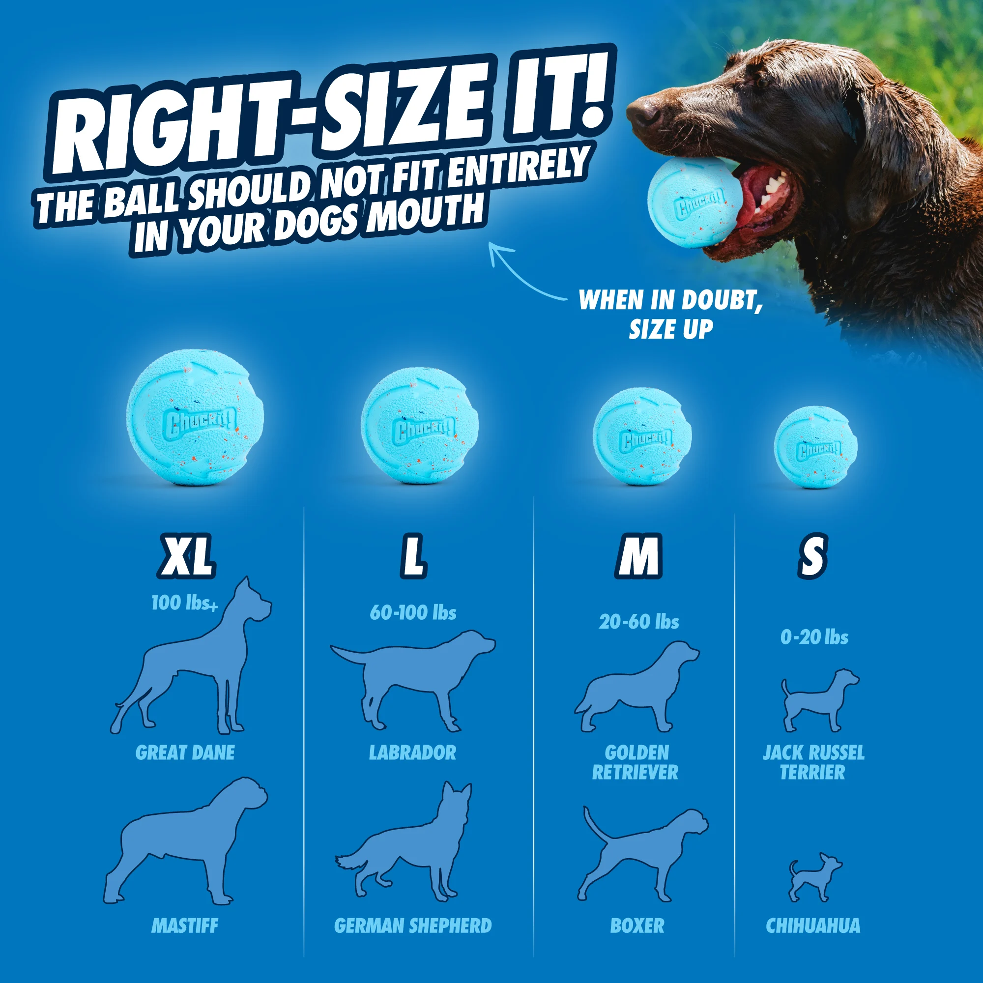 Minge pentru câini din cauciuc reciclat, cu săritură elastică, 2 bucăți – Chuckit! Rebounce Fetch Ball M - imagine 6