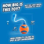 Jucărie de tras pentru câini cu minge de tenis și bandă, ø 7 cm – Chuckit! Ultra Tug L - imagine 2