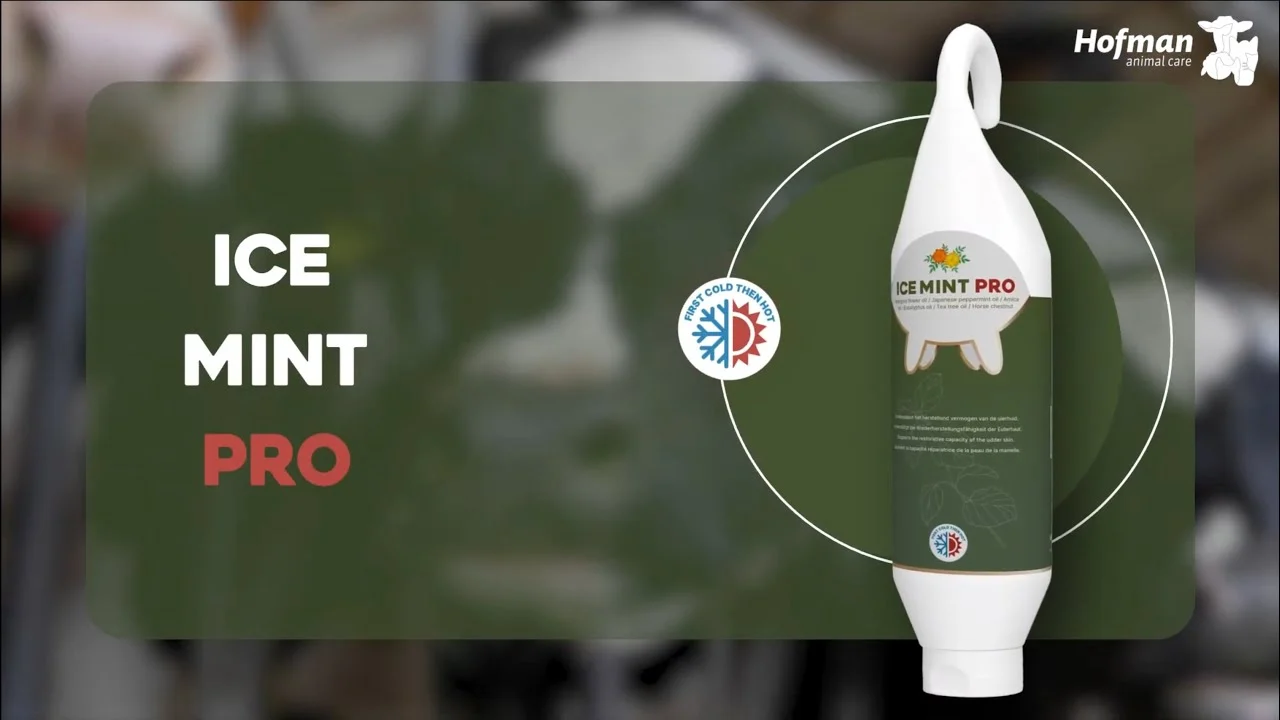 Gel pentru uger cu calendula, în tub cu agățătoare, 2,5 l – Vet Animal Care Ice Mint Pro - imagine 2