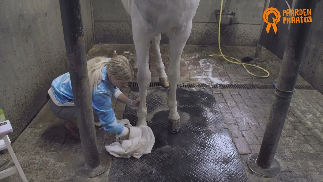 Ulei pentru copite cu ulei de arbore de ceai, 500 ml – Paardenpraat TV Hoefglansolie - imagine 2