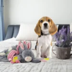 Jucărie de pluș pentru câini, iepuraș cu chițăitor pentru căței – Bunny Puppy Crunchy Chew - imagine 3