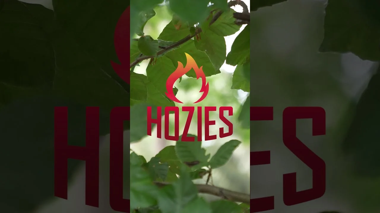 Jucărie pentru câini din furtun de pompieri, M – Hozies Billy Bengal - imagine 2