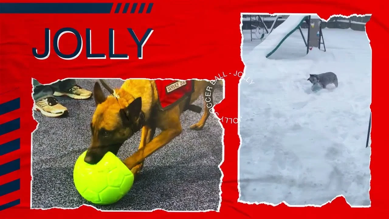 Minge de aport pentru câini, albastru deschis, 20 cm – Jolly Pets Jolly Soccer Ball - imagine 4