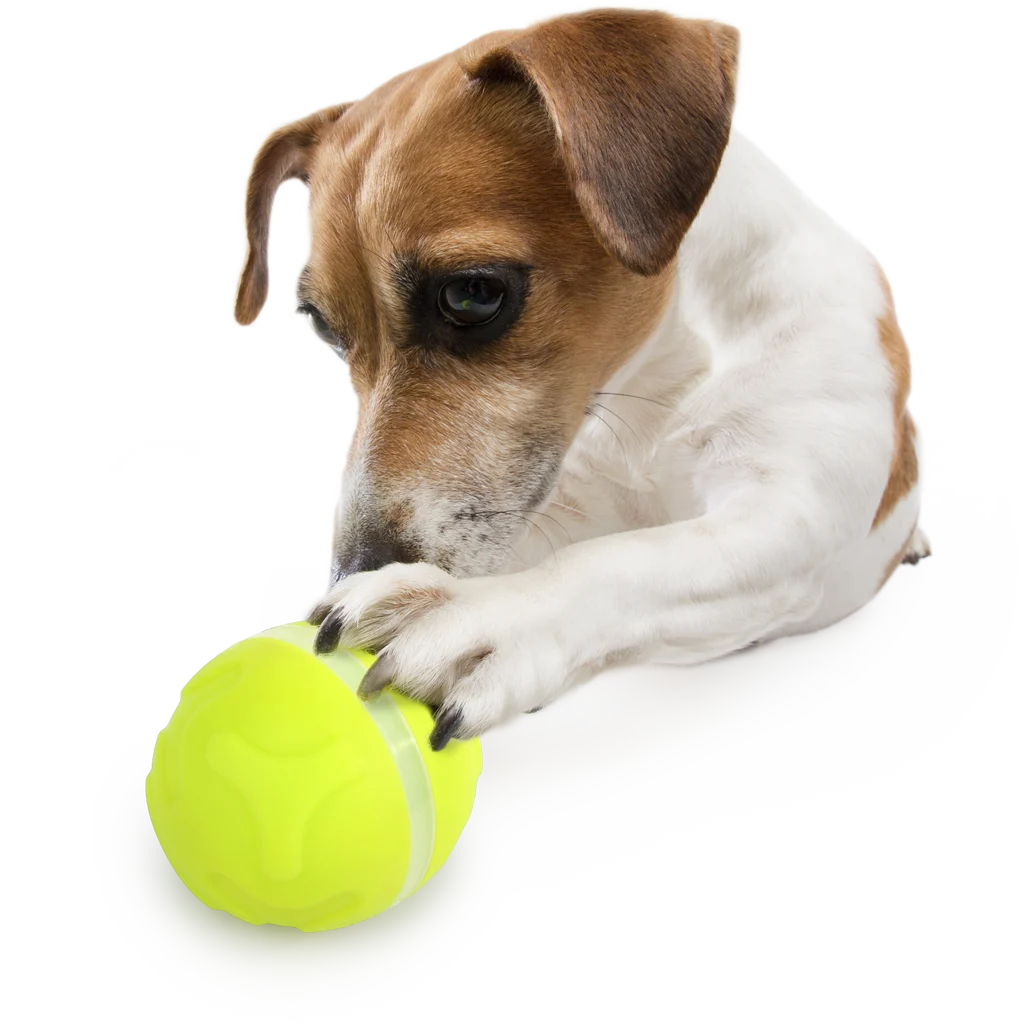 Distribuitor de recompense pentru câini, cu telecomandă în formă de minge – AFP Interactives - Lucky Treat with Rolling Ball - imagine 5