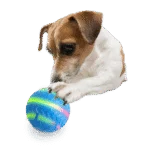 Minge pentru câini cu lumină, activată de mișcare și reîncărcabilă prin USB – AFP Interactives Motion Activated Action Ball - imagine 4