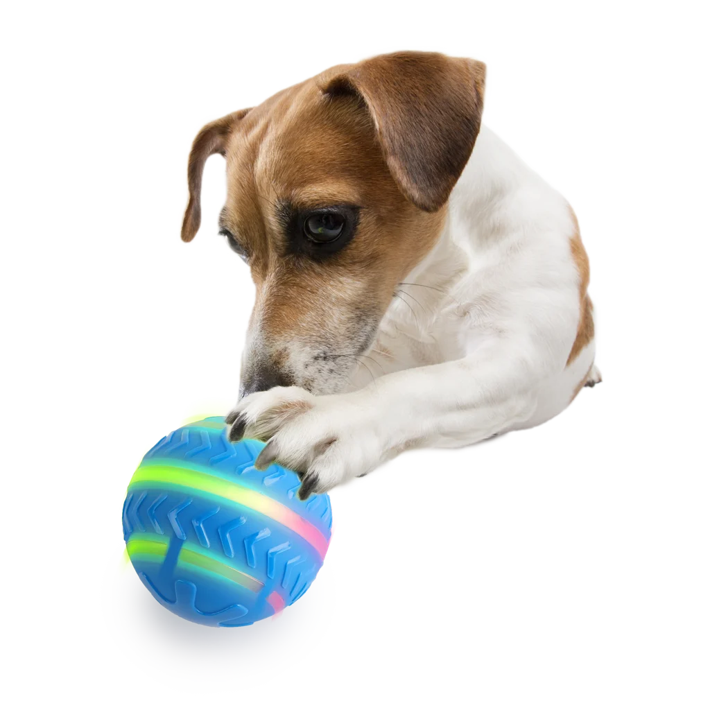 Minge pentru câini cu lumină, activată de mișcare și reîncărcabilă prin USB – AFP Interactives Motion Activated Action Ball - imagine 4