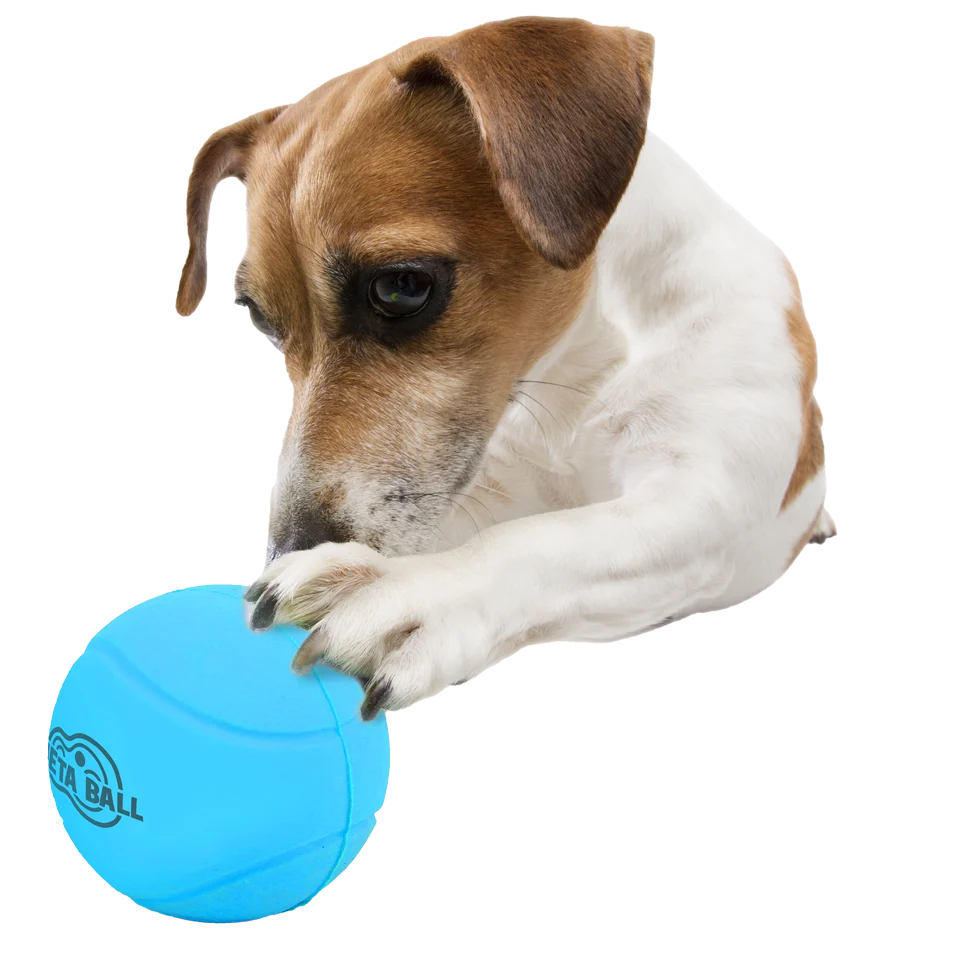 Minge din cauciuc pentru câini cu sunet de zornăit, ø 6,3 cm – AFP Meta Ball Bounce & Rattle Ball - imagine 3