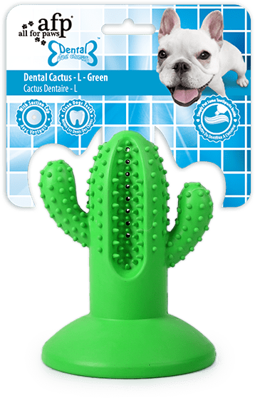 Jucărie de ros Cactus din cauciuc, cu ventuză, mărimea L, verde – AFP Dental Chews - Dental Cactus
