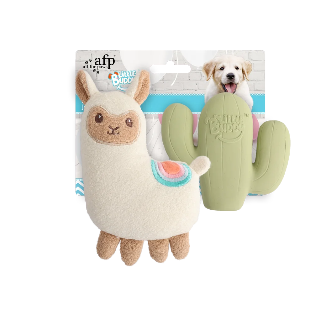 Set de jucării pentru căței cu jucărie de pluș și chițăitoare, 2 bucăți – AFP Little Buddy 2-Pack Toy Fiesta - imagine 1