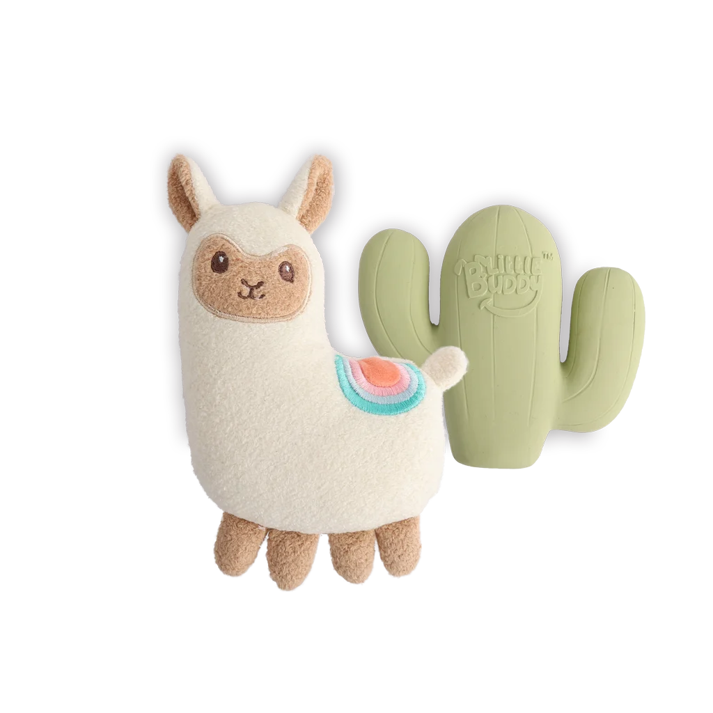 Set de jucării pentru căței cu jucărie de pluș și chițăitoare, 2 bucăți – AFP Little Buddy 2-Pack Toy Fiesta - imagine 2