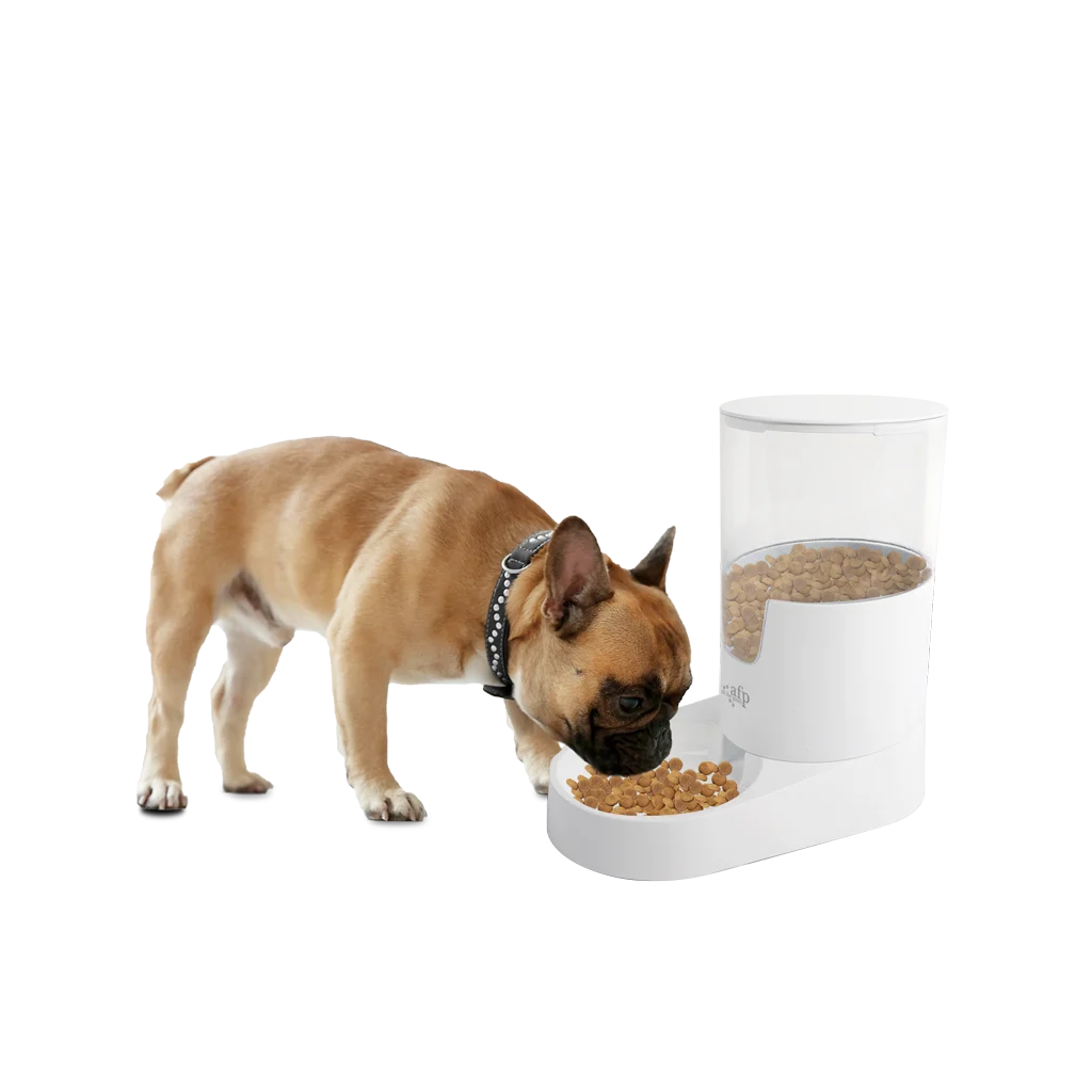 Hrănitor automat pentru câini cu rezervor, 3 l – AFP Lifestyle 4 Pets Gravity Pet Food Feeder - imagine 2