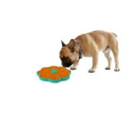 Covoraș de lins pentru câini, cu ventuze și sistem de fixare la cușcă – AFP Calming Pals Lick-A-Disk - imagine 5