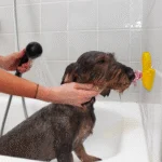 Rățușcă de baie pentru câini, cu ventuză și protuberanțe din silicon, 13 x 10 cm – AFP Calm Paws - Bath Anti-anxiety Duck - imagine 2
