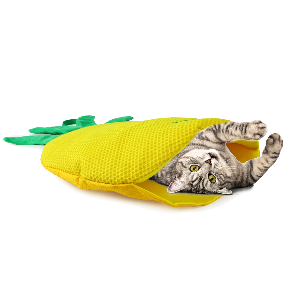 Covoraș de joacă pentru pisici în formă de ananas, cu iarba mâței – AFP Green Rush - Play Mat Ananas - imagine 2
