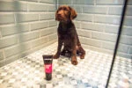 Șampon pentru pui cu piele sensibilă, 250 ml – Animology Puppy Love - imagine 3
