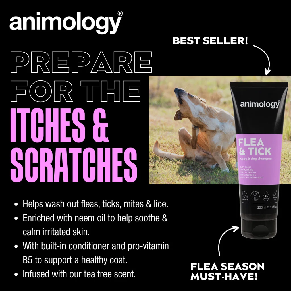 Șampon pentru câini pentru îndepărtarea puricilor și căpușelor prin spălare, 250 ml – Animology Flea & Tick - imagine 2