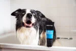 Șampon pentru câini care ajută la descurcarea blănii, cu balsam, 250 ml – Animology Hair Of The Dog Anti-Tangle - imagine 3