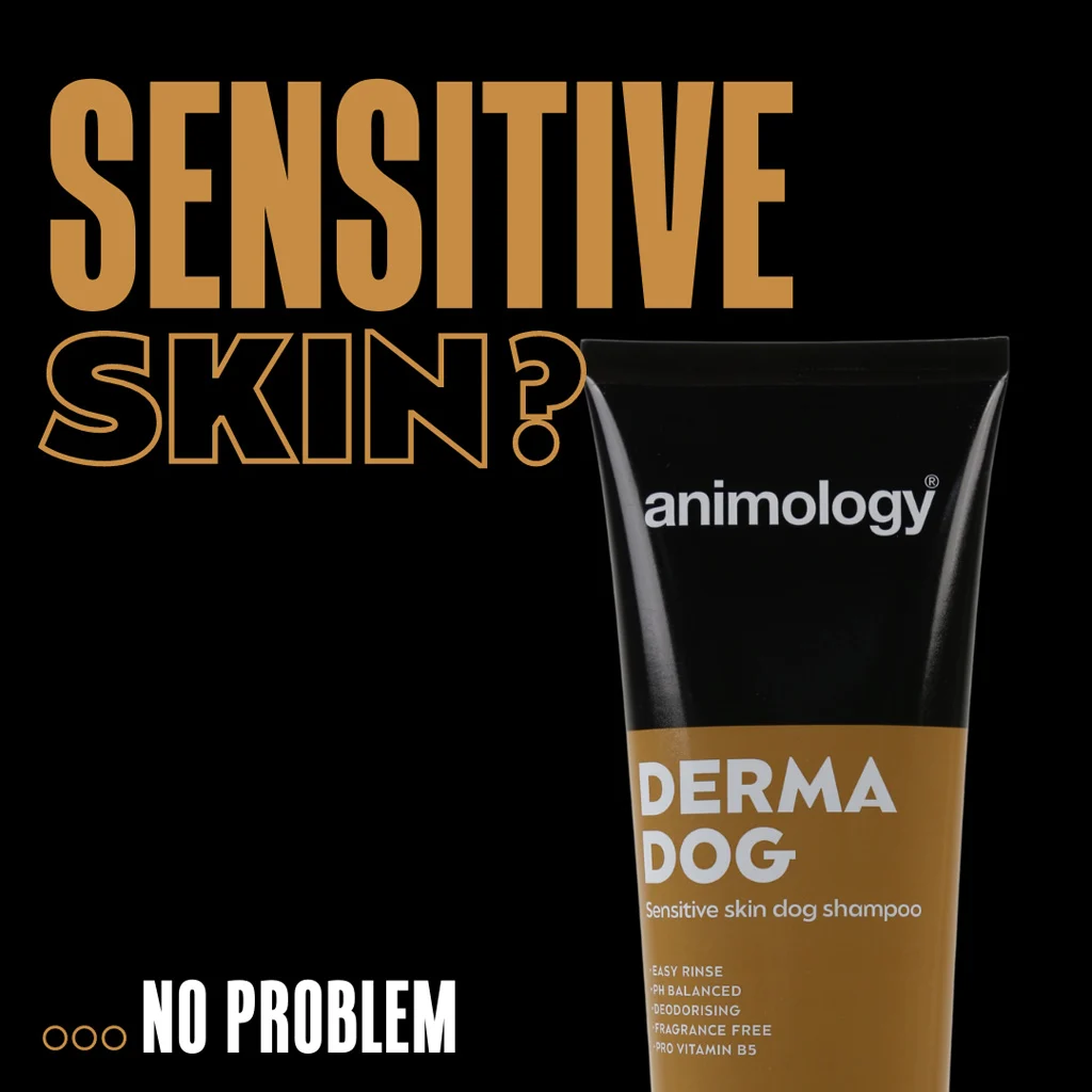 Șampon pentru câini cu piele sensibilă, 250 ml – Animology Derma Dog Sensitive Skin - imagine 2