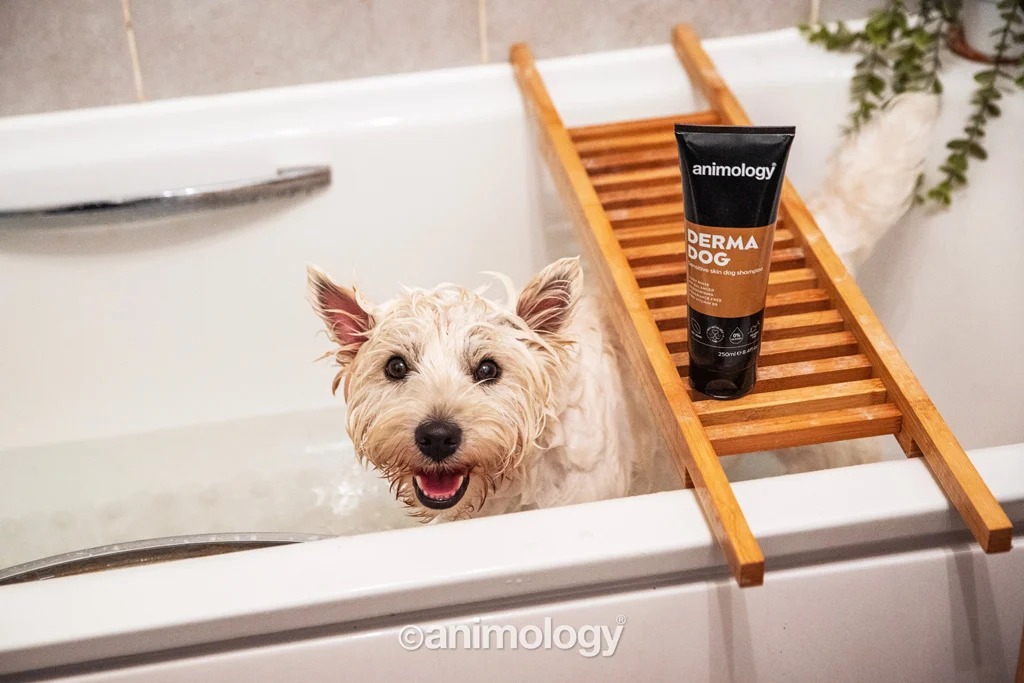 Șampon pentru câini cu piele sensibilă, 250 ml – Animology Derma Dog Sensitive Skin - imagine 3