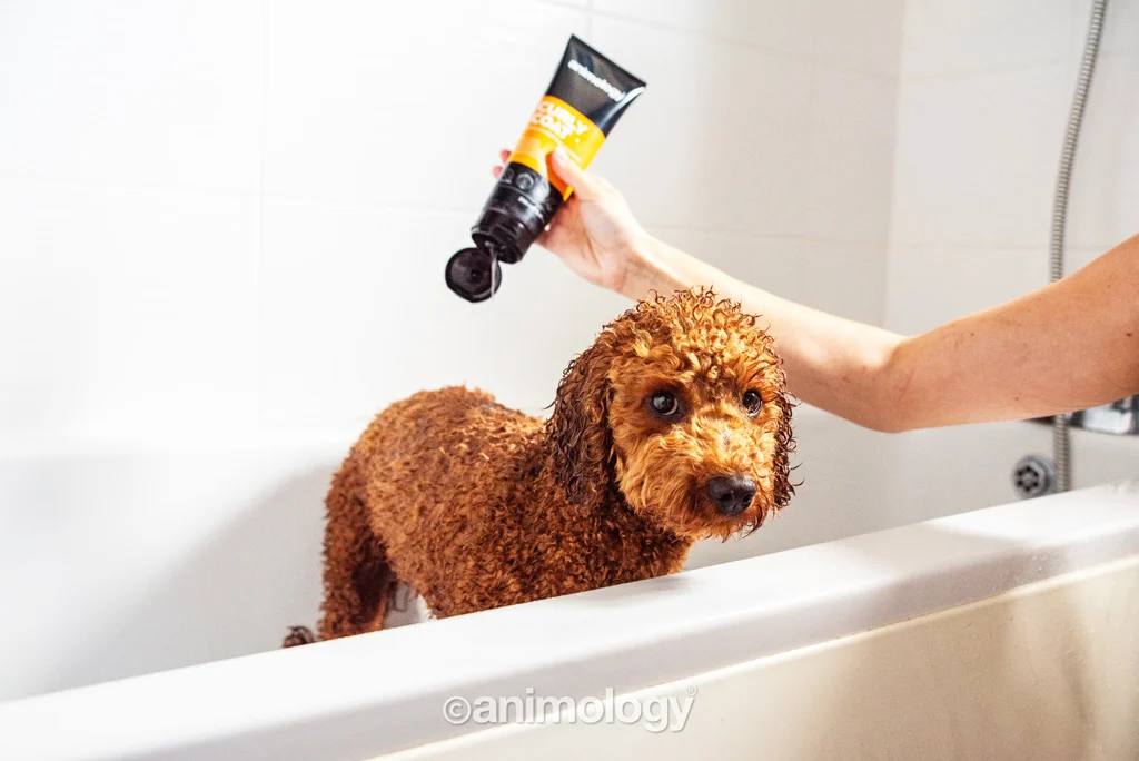 Șampon pentru câini cu blană crețată, 250 ml – Animology Curly Coat - imagine 2