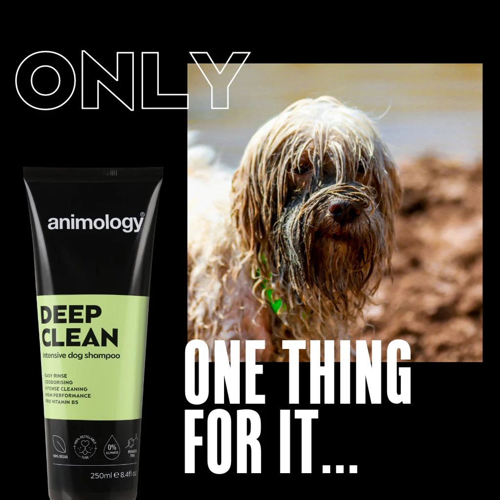 Șampon pentru câini cu curățare intensă, 250 ml – Animology Deep Clean Intensive - imagine 2