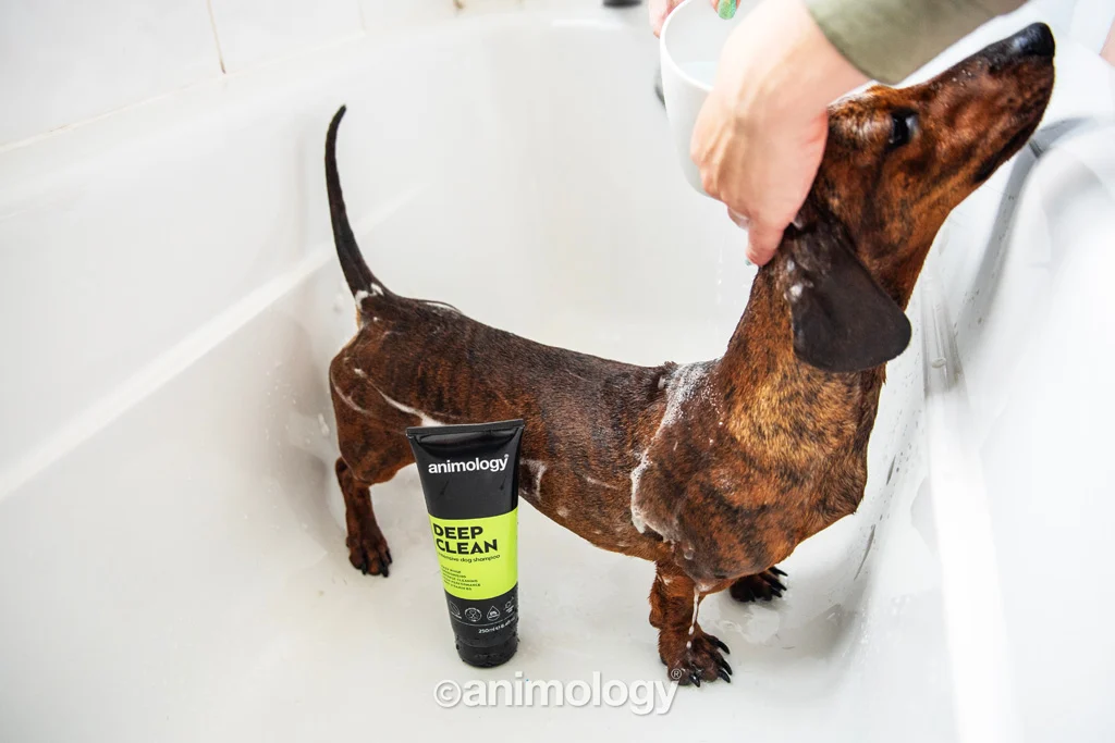 Șampon pentru câini cu curățare intensă, 250 ml – Animology Deep Clean Intensive - imagine 4