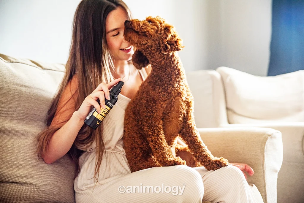Parfum pentru câini cu unt de shea și vanilie, 150 ml – Animology Star Pups Body Mist - imagine 2
