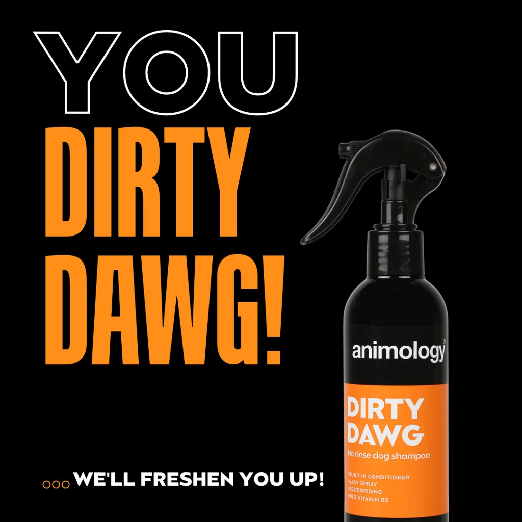 Șampon spray pentru câini fără clătire, 250 ml – Animology Dirty Dawg - imagine 2