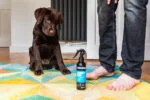 Șampon spray fără clătire pentru căței, 250 ml – Animology Mucky Pup - imagine 2