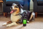 Spray pentru blana câinilor, împotriva mirosurilor, 250 ml – Animology Stink Bomb Deodorising Dog Spray - imagine 2