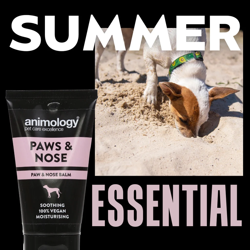 Balsam pentru lăbuțele câinilor, potrivit și pentru nas, 50 ml – Animology Paws & Nose Balm - imagine 2