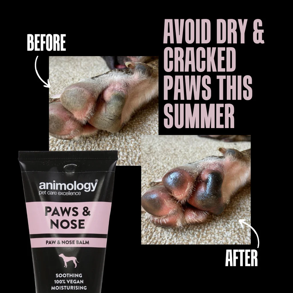 Balsam pentru lăbuțele câinilor, potrivit și pentru nas, 50 ml – Animology Paws & Nose Balm - imagine 3