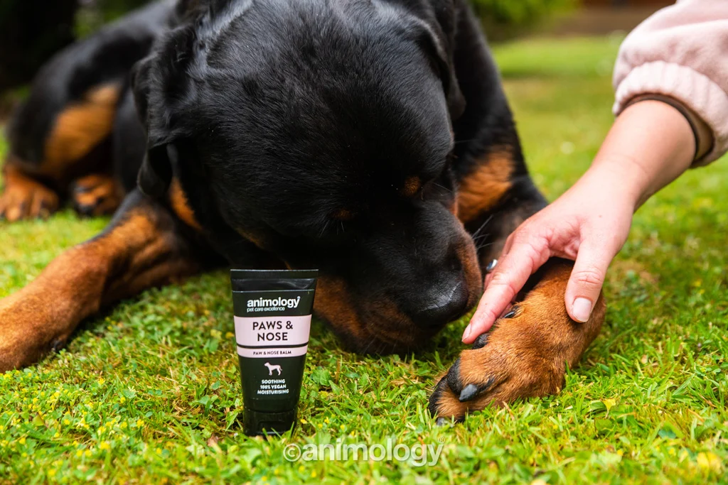 Balsam pentru lăbuțele câinilor, potrivit și pentru nas, 50 ml – Animology Paws & Nose Balm - imagine 5