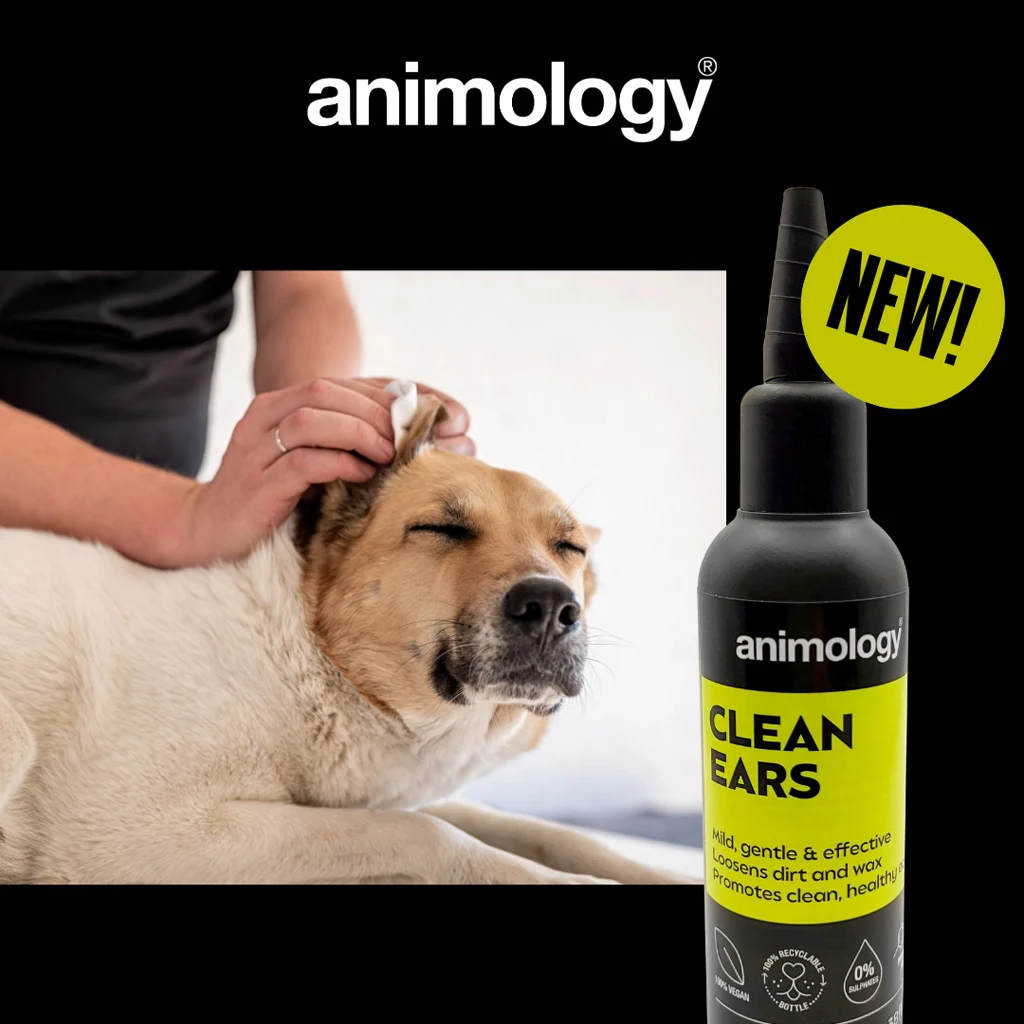 Soluție pentru curățarea urechilor câinilor, cu aplicator, 100 ml – Animology Clean Ears - imagine 2