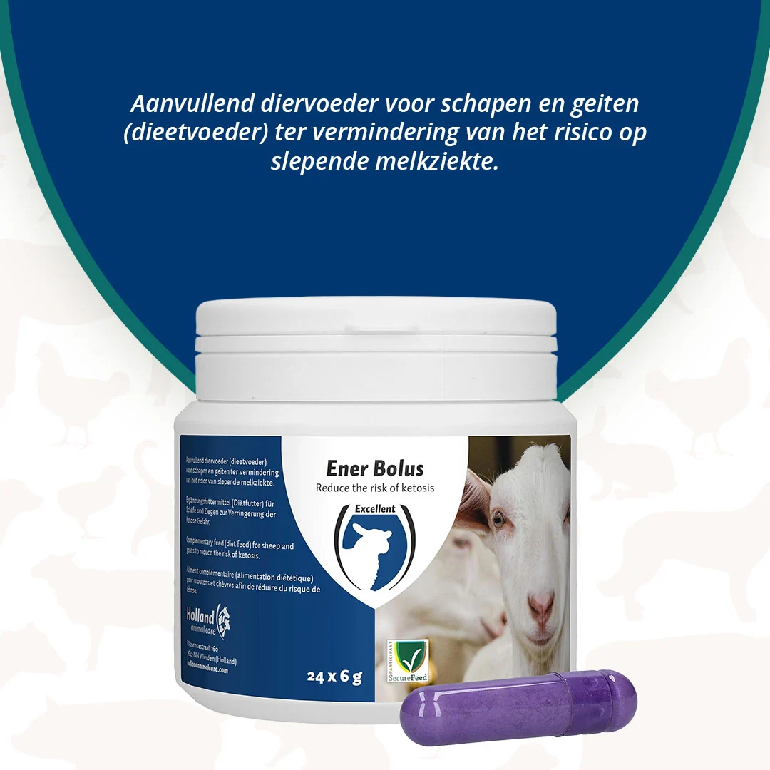 Bolus energetic pentru oi și capre, 24 de bucăți – Excellent Ener Bolus Schaap & Geit - imagine 3