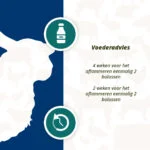 Bolus energetic pentru oi și capre, 24 de bucăți – Excellent Ener Bolus Schaap & Geit - imagine 5
