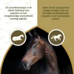 Recompense pentru cai cu usturoi, cu conținut redus de zahăr, 1,2 kg – Excellent Horse Sweet Blocks - imagine 4