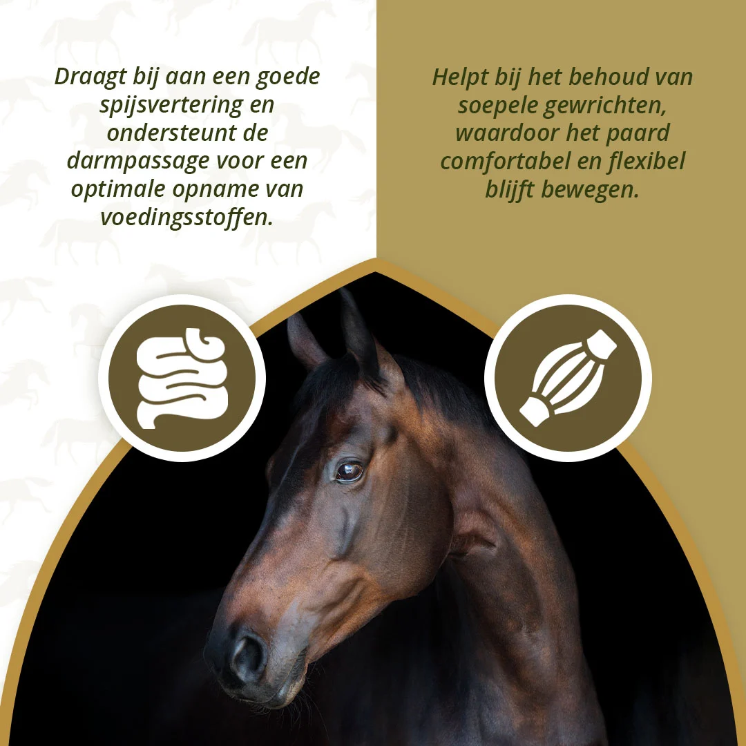 Ulei vegetal pentru cai, cu Omega 3 și 6, 1 l – Excellent Horse Omega Boost - imagine 3