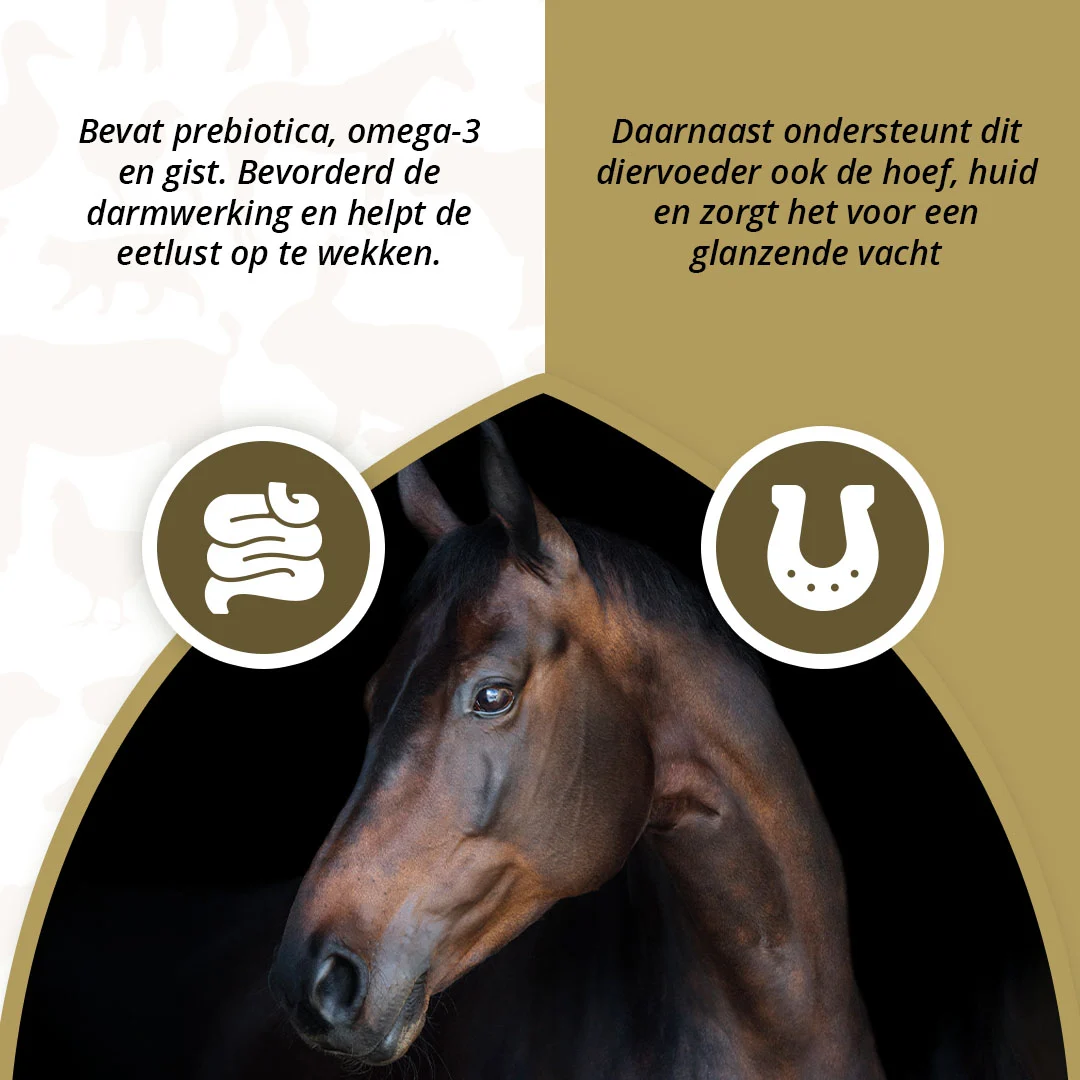 Prebiotice pentru cai cu omega 3 și drojdie, 2,5 kg – Excellent Horse Prebiotics - imagine 3