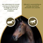 Supliment pentru articulațiile cailor, cu MSM și glucozamină, 2 kg – Excellent Horse Mobility Plus - imagine 4