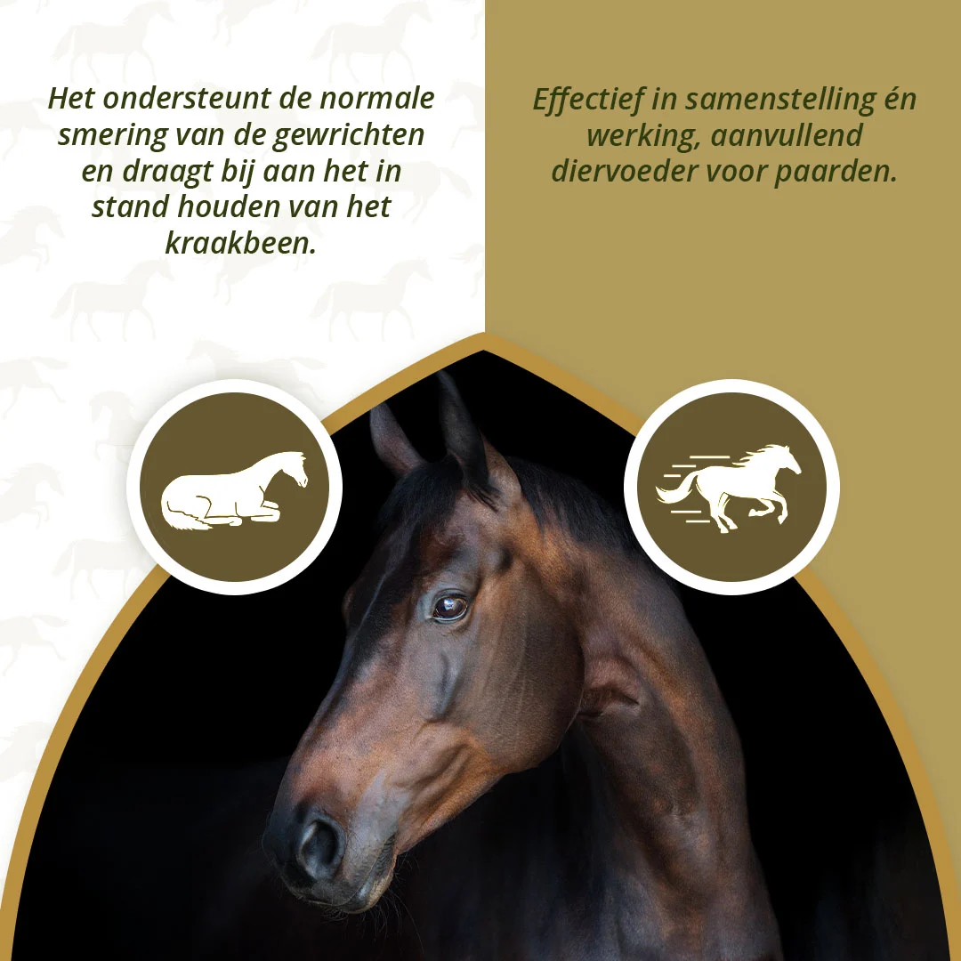 Supliment pentru articulațiile cailor, cu MSM și glucozamină, 2 kg – Excellent Horse Mobility Plus - imagine 4