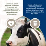 Bolus pentru uger la vacile de lapte, cu usturoi negru, 4 x 60 g – Direct Bolus Udder Support - imagine 4