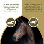 Recompense pentru cai cu eucalipt, conținut redus de zahăr, 1 kg – Excellent Horse Sweet Blocks - imagine 3