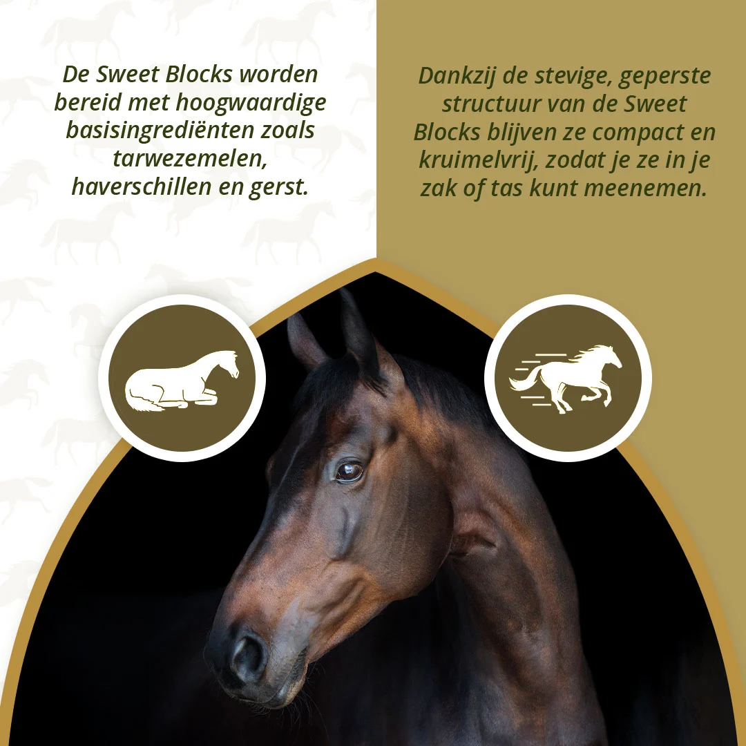 Gustări pentru cai cu plante aromatice, 1 kg – Excellent Horse Sweet Blocks Herbs - imagine 3