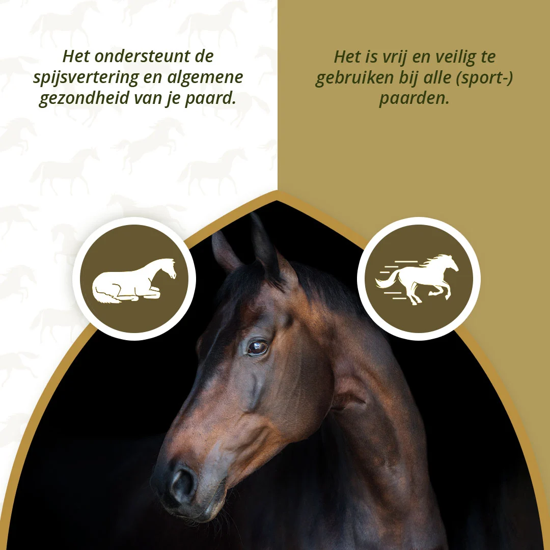 Supliment pentru articulațiile cailor, cu MSM și turmeric, 1 kg – Excellent Horse PureFree - imagine 3