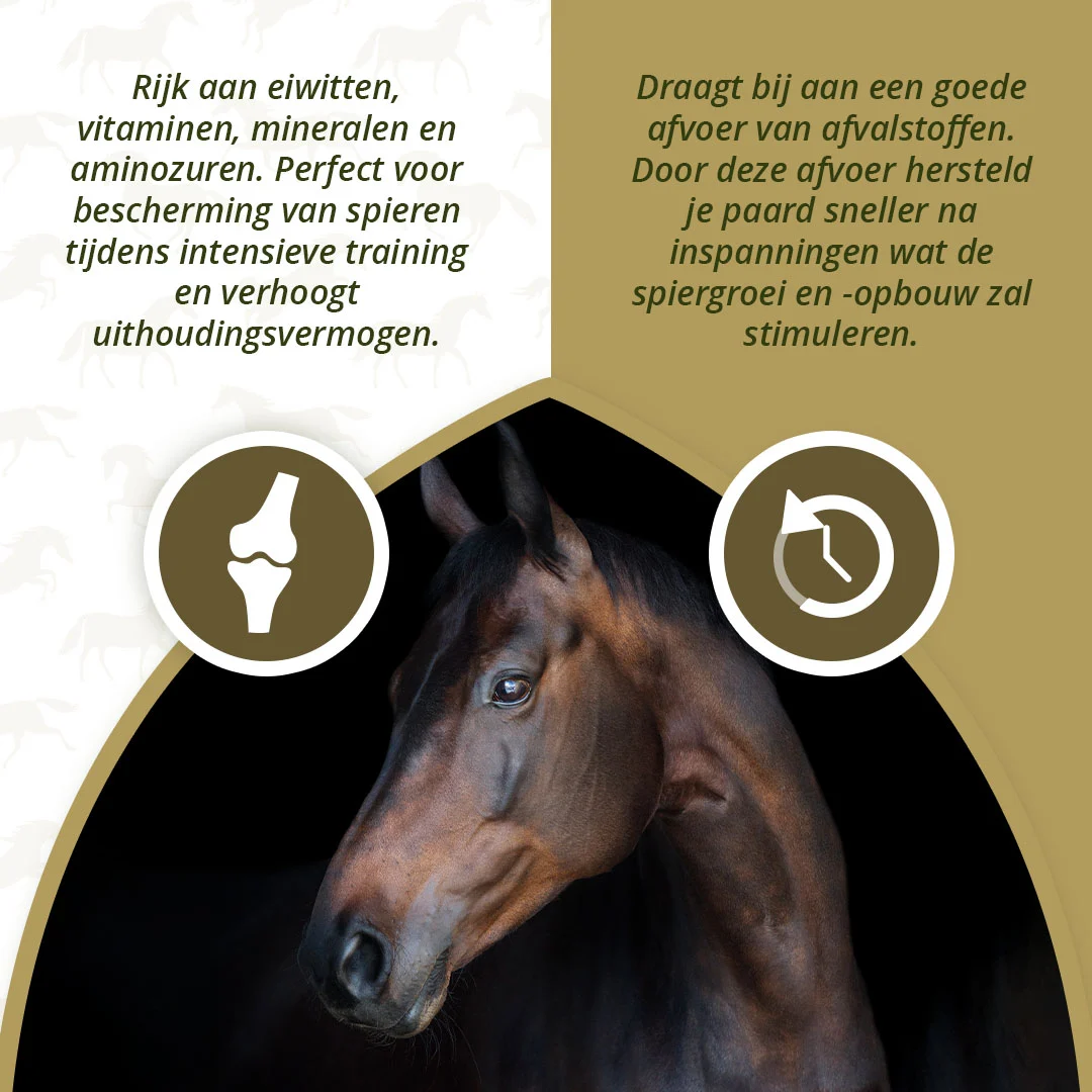 Supliment pentru musculatura cailor cu alge, 1 kg – Excellent Horse Turbo - imagine 3