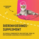 Supliment pentru blana câinilor și pisicilor, cu biotină, 750 g – Excellent Pets Biozin - imagine 3