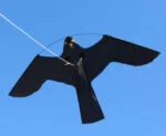 Zmeu pentru alungarea păsărilor, piesă separată – Birdshield
